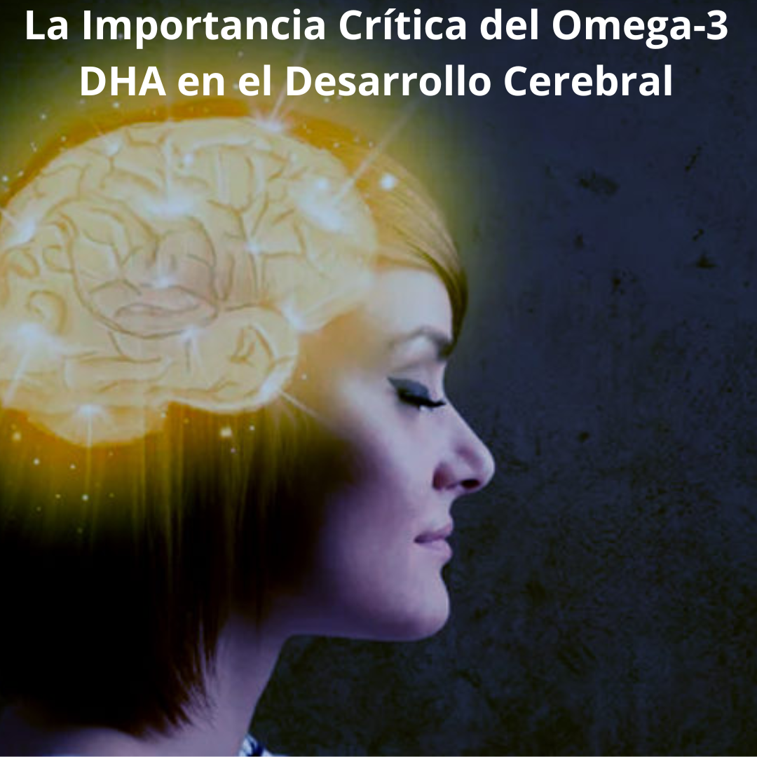 La Importancia Crítica del Omega-3 DHA en el Desarrollo Cerebral