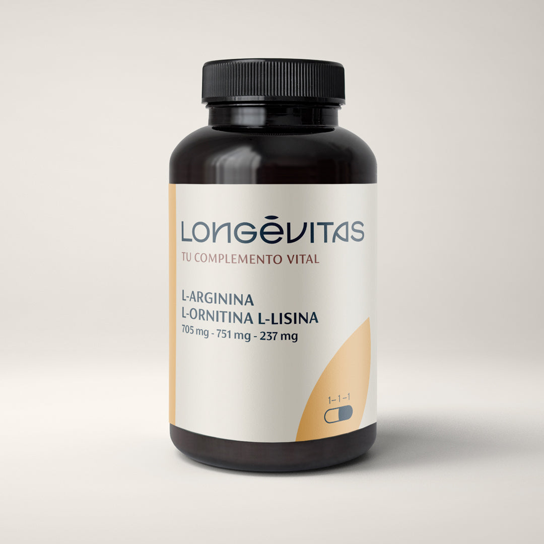L-Arginina L-Ornitina L-Lisina