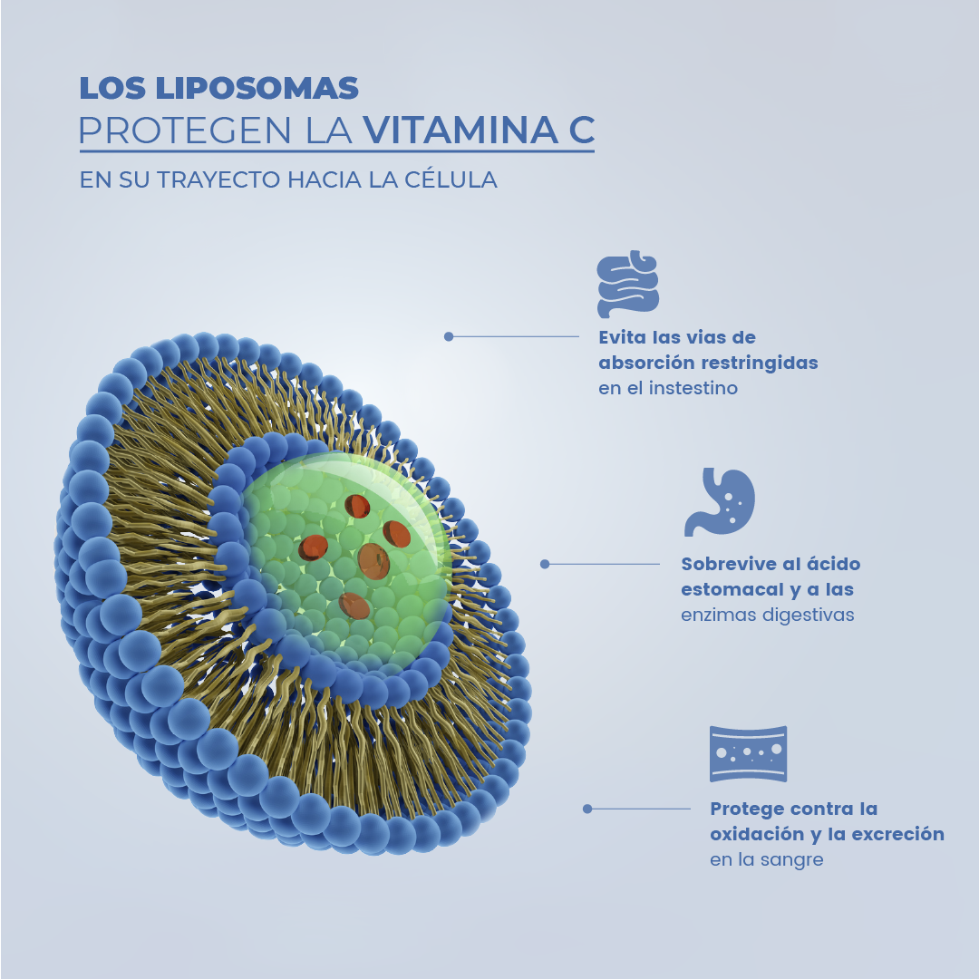 Vitamina C Liposomal + Zinc – 1000mg