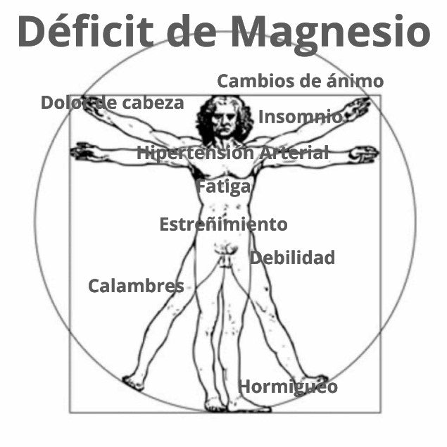 ¿Tienes calambres? Tal vez sea un déficit de Magnesio