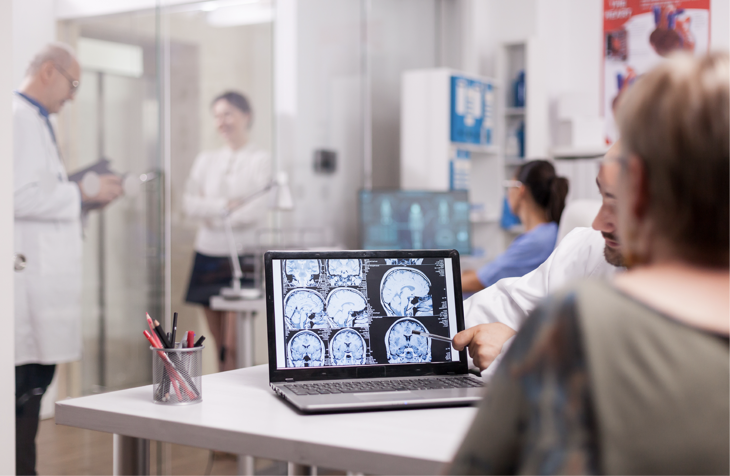 Creatina y cerebro: la nueva hipótesis