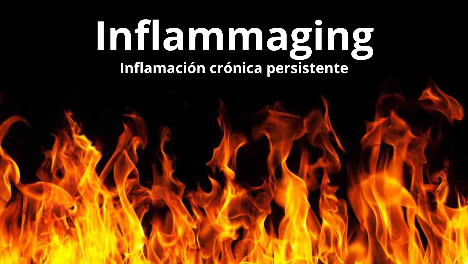 "Inflammaging" ¿Qué es?