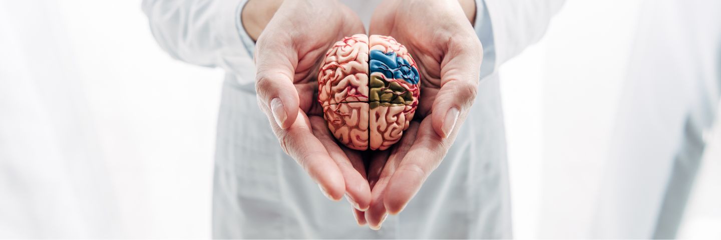 Omega-3 y el envejecimiento cerebral