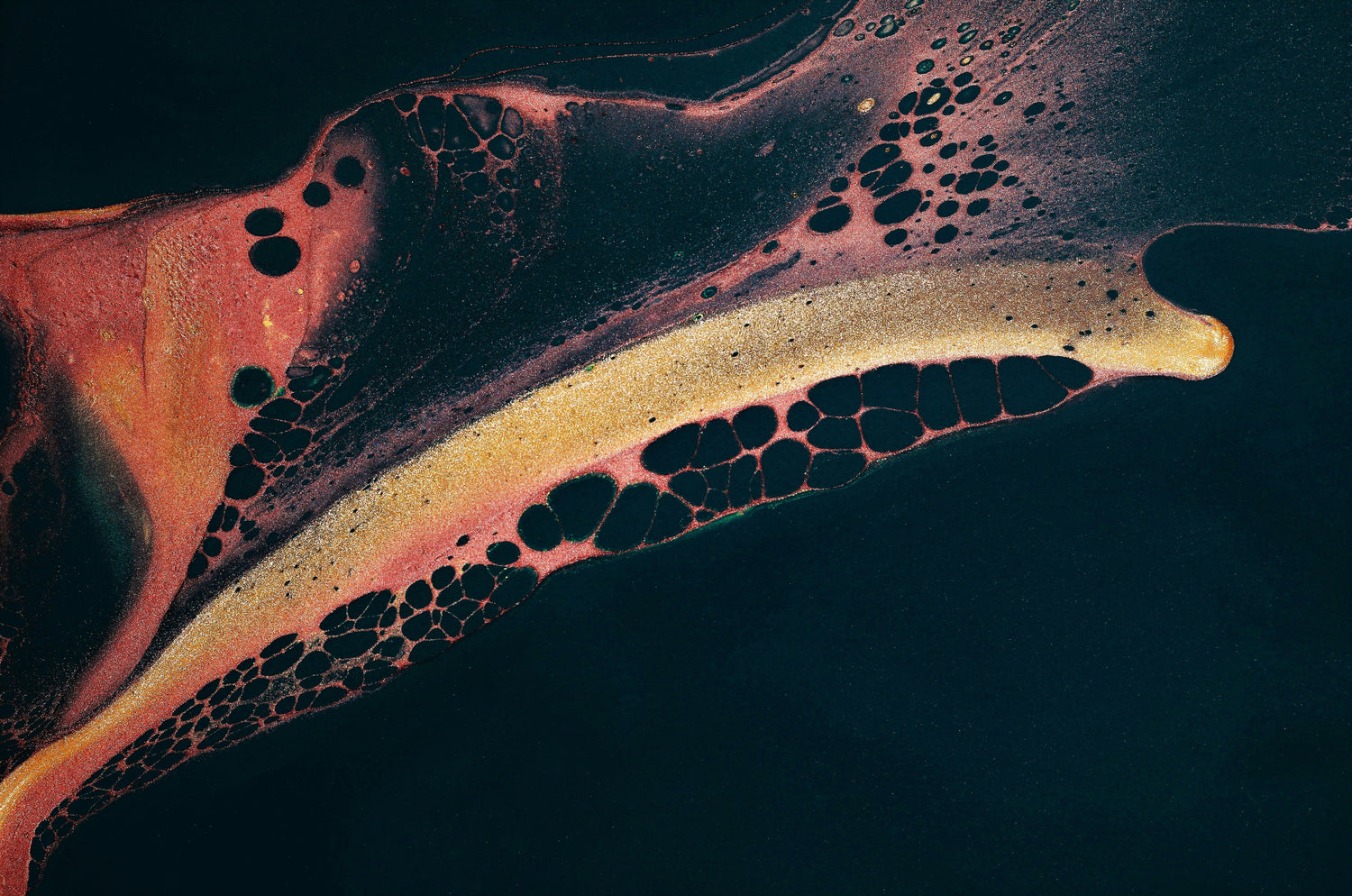 mejorar la salud mitocondrial