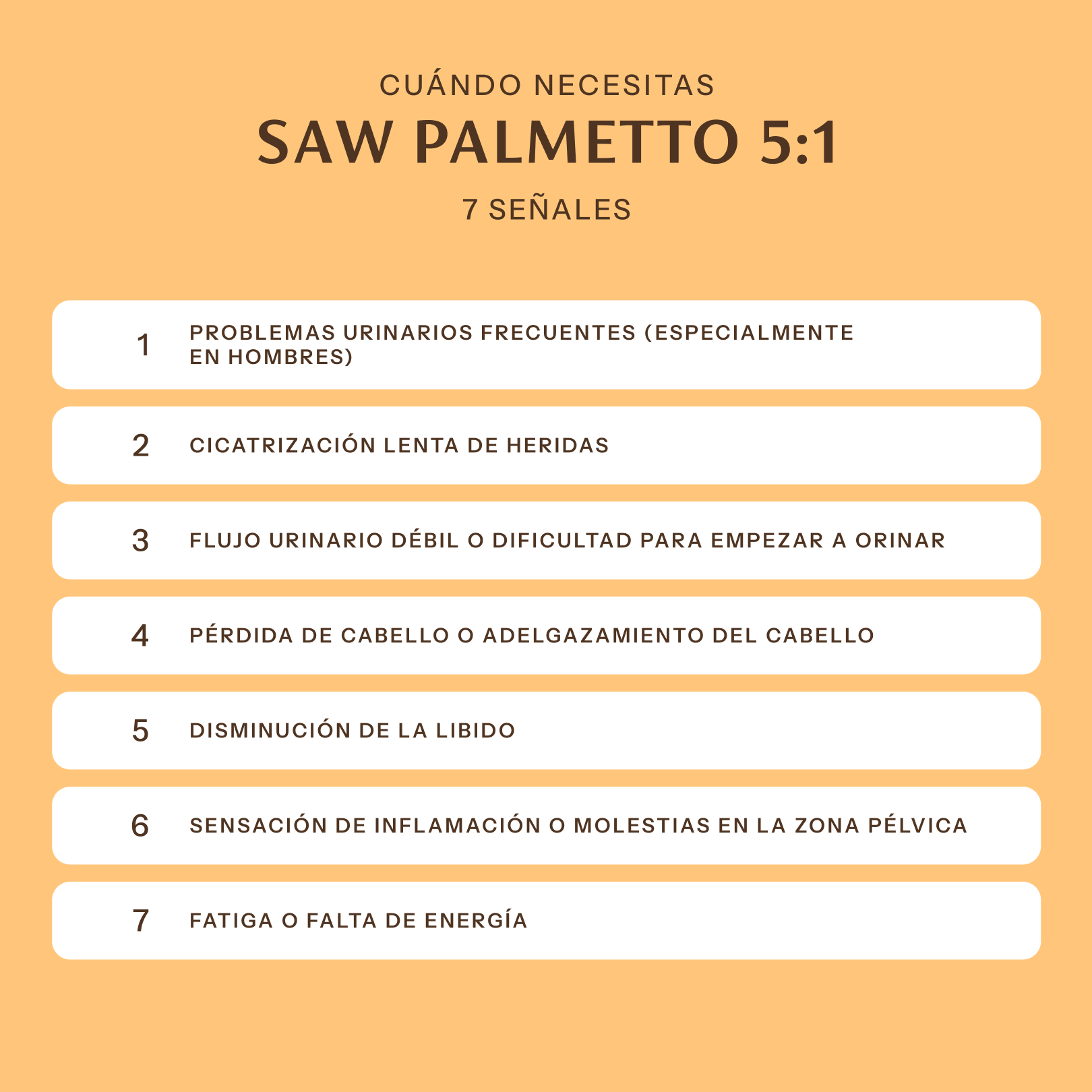 Saw Palmetto 5:1